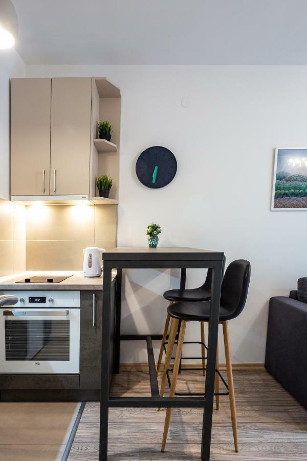 Apartmán Modern Naive Downtown With Free Private Garage-Fast Wi-Fi Novi Sad Exteriér fotografie