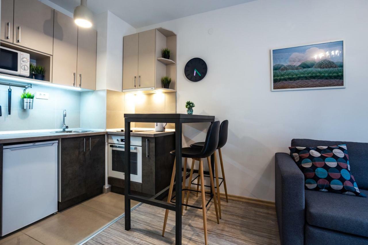 Apartmán Modern Naive Downtown With Free Private Garage-Fast Wi-Fi Novi Sad Exteriér fotografie